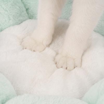 Show full view: Happy & Polly Flower Shaped Bolster Dog & Cat Bed, Green, Medium slide 9 of 11