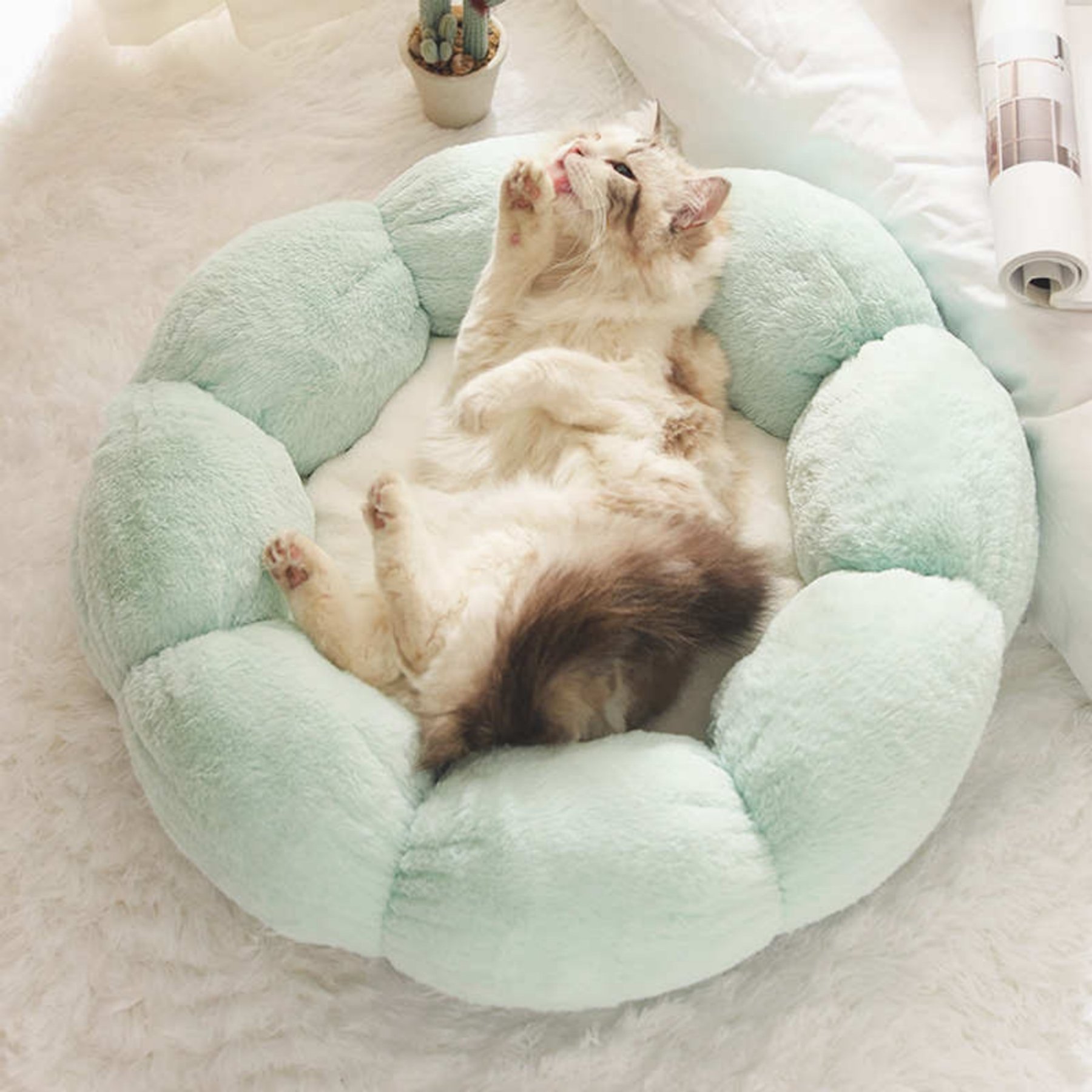 Happy & Polly Flower Shaped Bolster Dog & Cat Bed, Green, Medium