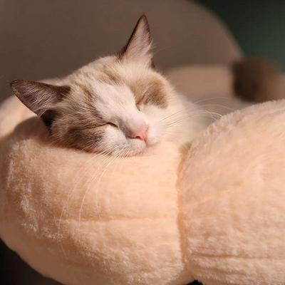 Show full view: Happy & Polly Flower Shaped Bolster Dog & Cat Bed, Pink, Medium slide 4 of 10