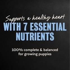 Cesar Puppy Chicken Variety Pack Wet Dog Food, 3.5-oz tray, case of 12 slide 2 of 9