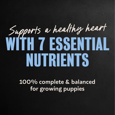 Show full view: Cesar Puppy Chicken Variety Pack Wet Dog Food, 3.5-oz tray, case of 12 slide 6 of 10