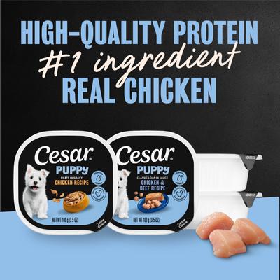 Show full view: Cesar Puppy Chicken Variety Pack Wet Dog Food, 3.5-oz tray, case of 12 slide 4 of 10