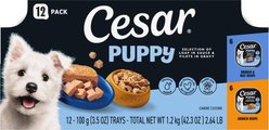 Cesar Puppy Chicken Variety Pack Wet Dog Food, 3.5-oz tray, case of 12