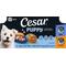 Show in main carousel: Cesar Puppy Chicken Variety Pack Wet Dog Food, 3.5-oz tray, case of 12 slide 1 of 10