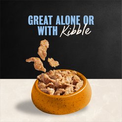 Cesar Puppy Filets in Gravy Chicken Recipe Wet Dog Food, 3.5-oz tray, case of 24 slide 2 of 9