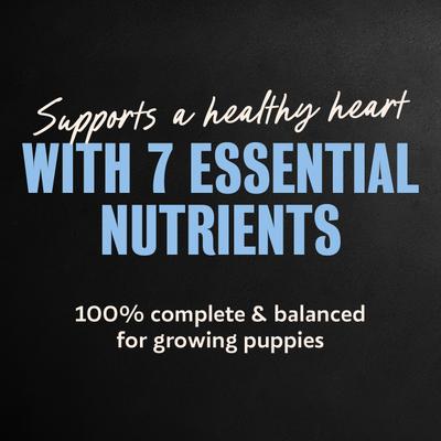 Show full view: Cesar Puppy Filets in Gravy Chicken Recipe Wet Dog Food, 3.5-oz tray, case of 24 slide 6 of 10