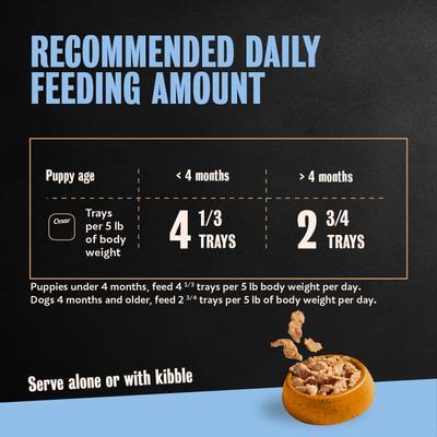 Show full view: Cesar Puppy Filets in Gravy Chicken Recipe Wet Dog Food, 3.5-oz tray, case of 24 slide 8 of 10