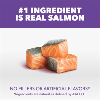 Show full view: Iams Proactive Health Kitten Salmon Recipe Dry Cat Food, 7-lb bag slide 4 of 10