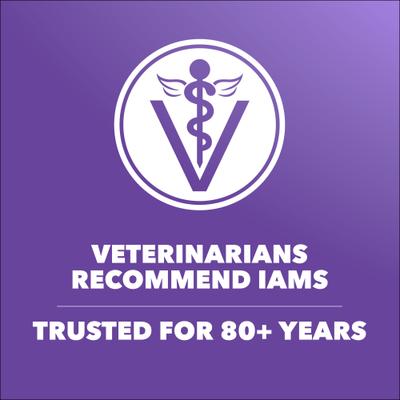 Show full view: Iams Proactive Health Kitten Salmon Recipe Dry Cat Food, 3.5-lb bag slide 9 of 10