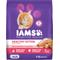 Show in main carousel: Iams Proactive Health Kitten Salmon Recipe Dry Cat Food, 16-lb bag slide 1 of 10