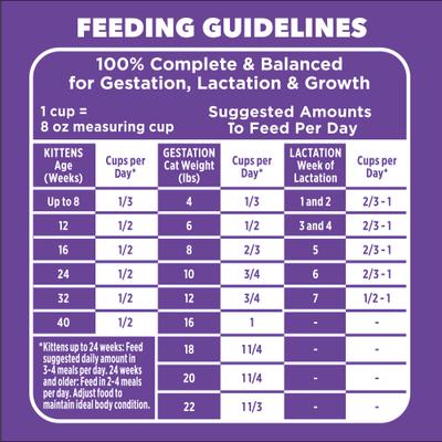 Show full view: Iams Proactive Health Kitten Salmon Recipe Dry Cat Food, 3.5-lb bag slide 8 of 10