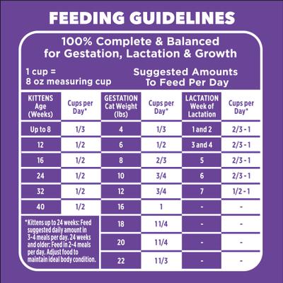 Show full view: Iams Proactive Health Kitten Salmon Recipe Dry Cat Food, 16-lb bag slide 8 of 10