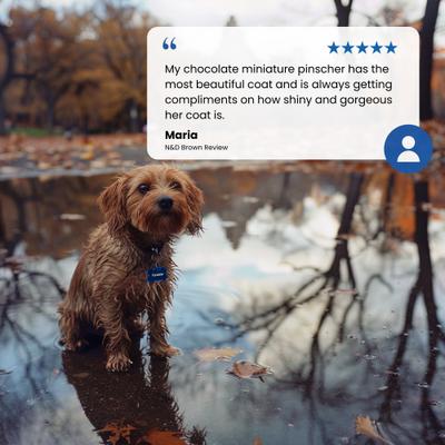 Show full view: Farmina N&D Brown Coat Lamb, Norwegian Kelp & Carrot Puppy Mini Dry Dog Food, 3.3-lb bag slide 10 of 10