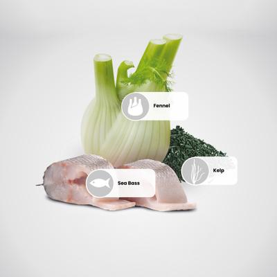 Show full view: Farmina N&D White Coat Sea Bass, Norwegian Kelp & Fennel Puppy Med/Max Dry Dog Food, 4.4-lb bag slide 7 of 10