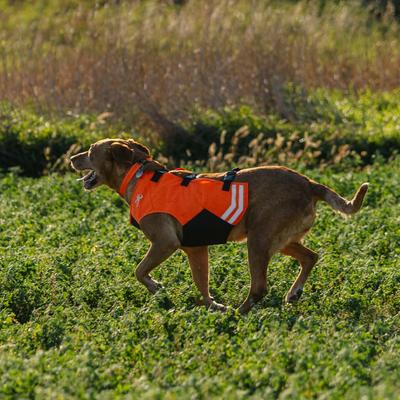 Show full view: Browning Full Coverage Dog Safety Vest, Orange/Black, Large slide 5 of 6