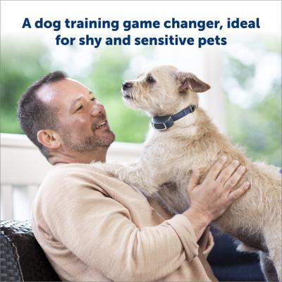 Show full view: PetSafe Add-A-Dog Waterproof Extra Receiver Collar, Lite slide 5 of 8