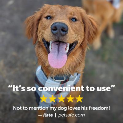 Show full view: PetSafe Add-A-Dog Waterproof Extra Receiver Collar, Lite slide 3 of 8