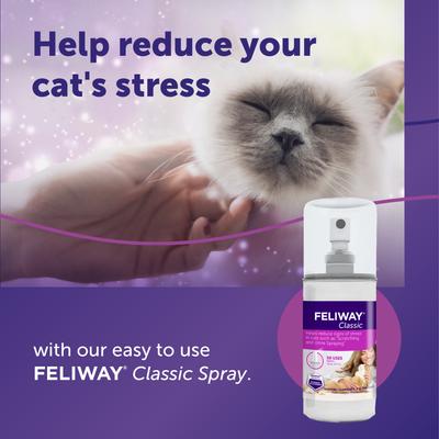 Show full view: Feliway Classic Calming Spray for Cats, 60-mL slide 4 of 12