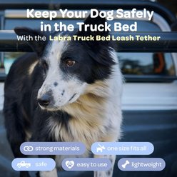 Labra Dog Truck Leash, Single slide 2 of 4