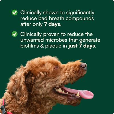 Show full view: Reggie Bright Bite Kelp Flavored Dental Powder Supplement for Dogs, 60 servings slide 4 of 10