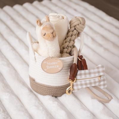 Show full view: Harry Barker Welcome Home Dog Bundle Gift, Beige slide 5 of 10