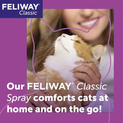 Show full view: Feliway Classic Calming Spray for Cats, 60-mL slide 3 of 12
