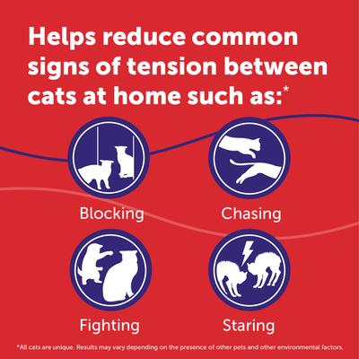 Show full view: Feliway MultiCat Calming Diffuser Refill for Cats, 30 day, 1 count slide 6 of 11