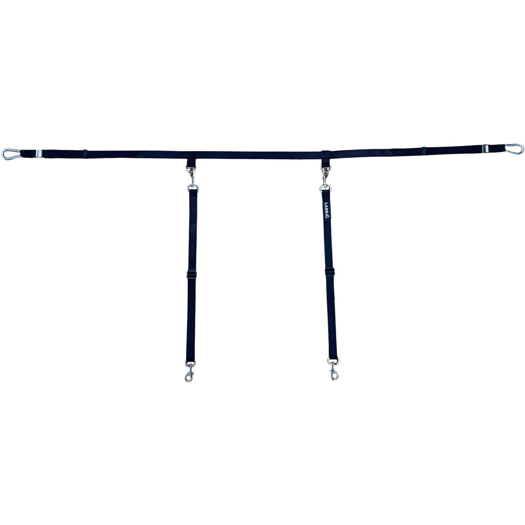 Labra Dog Truck Leash, Double