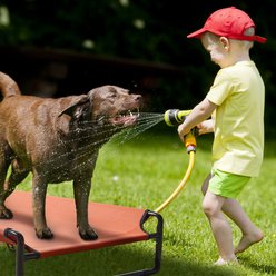 Veehoo Original Cooling Elevated Dog Bed, Red, X-Large slide 2 of 8