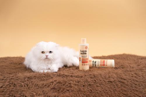 Show full view: Lumi-noble Sensitive Dog, Cat & Small Pet Shampoo, 16-fl oz bottle slide 5 of 8