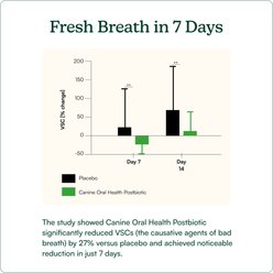 Reggie Bright Bite Kelp Flavored Dental Powder Supplement for Dogs, 60 servings slide 2 of 9