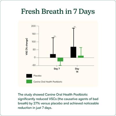 Show full view: Reggie Bright Bite Kelp Flavored Dental Powder Supplement for Dogs, 60 servings slide 9 of 10