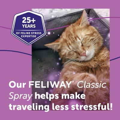 Show full view: Feliway Classic Calming Spray for Cats, 60-mL slide 5 of 12
