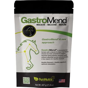 SynNutra Equine GastroMend Horse Supplement, 60 Servings