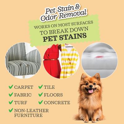 Show full view: Lumi-noble Stain & Odor Removal, 16-fl oz bottle slide 4 of 6