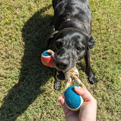Show full view: Pendleton Lasso Rope Dog Toy, One-Size slide 5 of 7