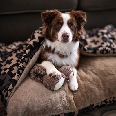 Show full view: Pendleton Squirrel Squeaky Plush Dog Toy, Small/Medium slide 6 of 6