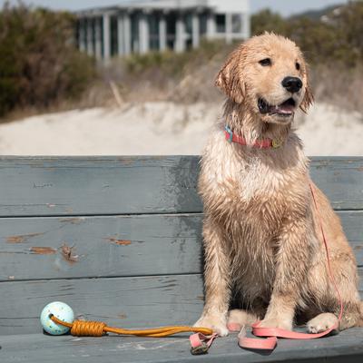 Show full view: Body Glove Tough Tug Dog Toy, Teal Confetti slide 3 of 3