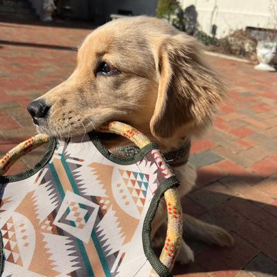 Show full view: Pendleton Flying Disc Rope Dog Toy, One-Size slide 6 of 7