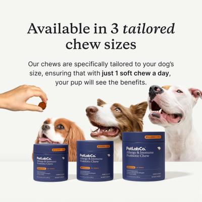 Show full view: PetLabCo. Allergy Immune Probiotic Chew Allergy Supplement for Medium Dogs, 30 count slide 5 of 9