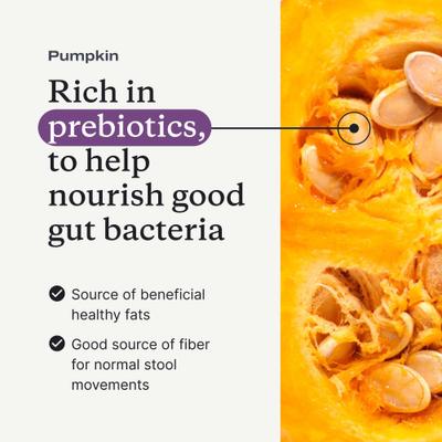 Show full view: PetLabCo. Pumpkin Flavored Digestive Aid Powder Supplement for Dogs, 8-oz pouch slide 8 of 9