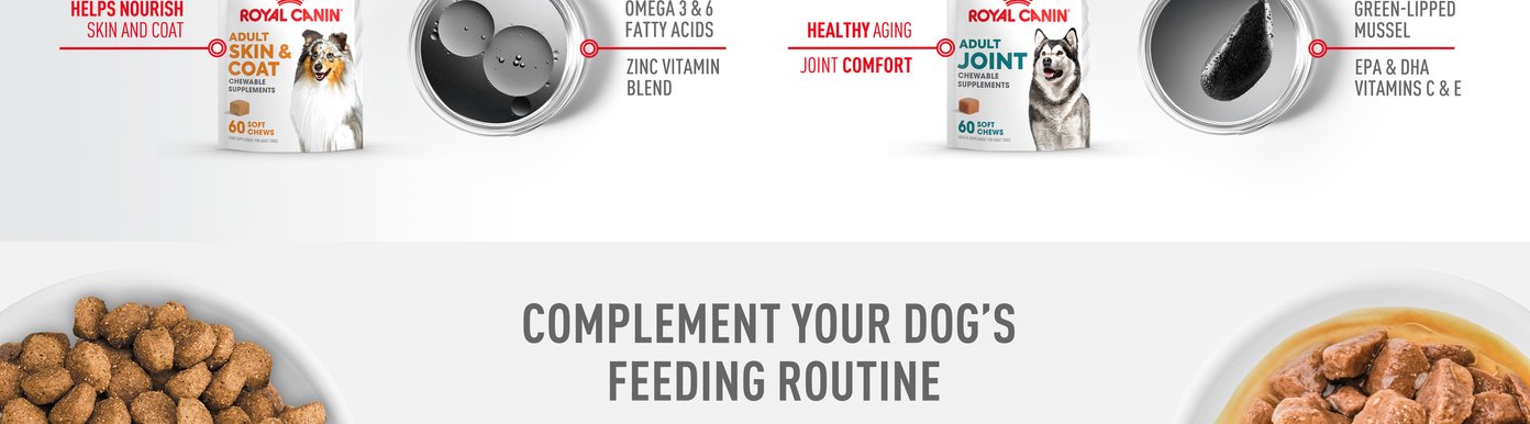 Complement Your Dog’s Feeding Routine. Feed alongside your dog’s regular dry and wet food, plus supplements, to support their overall health.