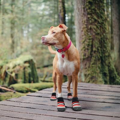 Show full view: PetRageous Designs All Weather Adventure Dog Boot, Red/Black/Gray, Large slide 4 of 4