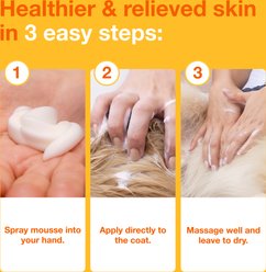 Douxo S3 PYO Antiseptic Antifungal Chlorhexidine Dog Mousse, 5.1-oz bottle slide 2 of 9