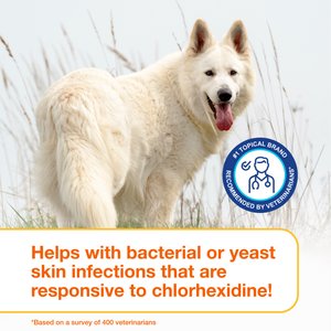 Douxo S3 PYO Antiseptic Antifungal Chlorhexidine Dog & Cat Shampoo, 16.9-oz bottle