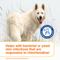 Show in main carousel: Douxo S3 PYO Antiseptic Antifungal Chlorhexidine Dog & Cat Shampoo, 16.9-oz bottle slide 8 of 11