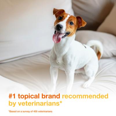 Show full view: Douxo S3 PYO Antiseptic Antifungal Chlorhexidine Dog & Cat Wipes 30 count slide 4 of 11