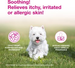 Douxo S3 CALM Soothing Itchy, Hydrated Skin Dog & Cat Mousse, 5.1-fl oz bottle slide 2 of 9