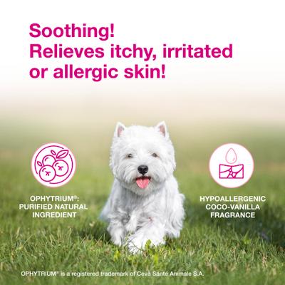 Show full view: Douxo S3 CALM Soothing Itchy, Hydrated Skin Dog & Cat Mousse, 5.1-fl oz bottle slide 3 of 11