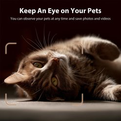 IMIPAW 2.4G WiFi Automatic Timed Cat Feeder with Camera, 3-L slide 2 of 9